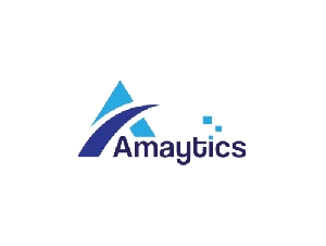 Amaytics - Digital Marketing Agency in Gurgaon 